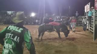 NANANGO SHOW RODEO 2021 highlights [upl. by Ardet]