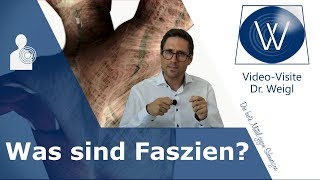 Jetzt ist die Zeit der Faszie ❗ Was sind Faszien amp welche Aufgaben hat das Fasziengewebe 1 [upl. by Estrin866]