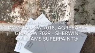 Dovetail SW 7018 Agreeable Gray SW 7029  SherwinWilliams SuperPaint® [upl. by Nonarb442]