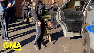 Retiring police dog gets standing ovation as he leaves department for last time [upl. by Atteuqahc824]