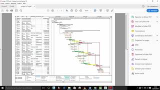 MS project tuto 5 mise en page et fin [upl. by Anahtor]