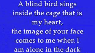 DELA by Johnny Clegg Lyrics [upl. by Haisa135]