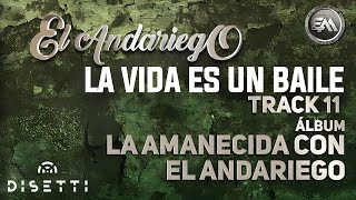 El Andariego  La Vida Es Un Baile  Música Popular [upl. by Nnav]