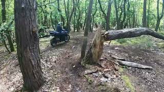 TET France section 7 BMW 1200 GS and KTM 390 Adventure offroad [upl. by Atteloiv121]