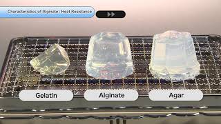 Characteristics of Alginate quotHeat Resistancequot [upl. by Gnaht307]