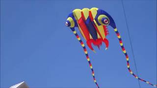 2019 Ocean City Maryland September Sunfest Kite Festival [upl. by Eiuol]