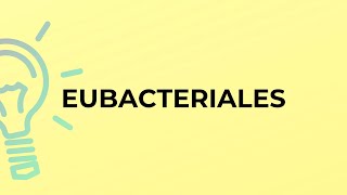 What is the meaning of the word EUBACTERIALES [upl. by Nadaha]