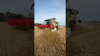 CLAAS Trion 660 [upl. by Ieppet]