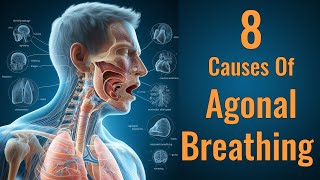 8 Causes of Agonal Breathing  Agonal Respirations amp Dyspnea  Respiratory System [upl. by Edouard]