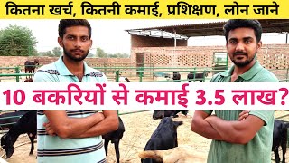 नोकरी नहीं बकरी पालन करते युवाHow to Start Goat farming in indiaBakri Palan in Hindi [upl. by Girish405]