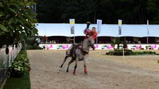 CHIO 2015 Show Trickriding Team The Future Guys [upl. by Harlow897]