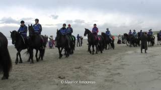 400 friese paarden op strand Callantsoog [upl. by Tally]