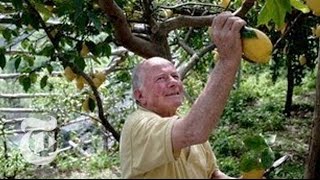 A Legacy of Lemons on the Amalfi Coast  2013  The New York Times [upl. by Alderson]