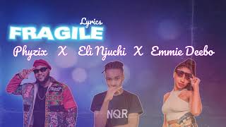 PhyzixFragile ftEli Njuchi X Emmie Deebo Lyric Video [upl. by Urquhart946]