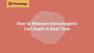 How to Measure Immunogenic Cell Death in Real Time [upl. by Ferri728]