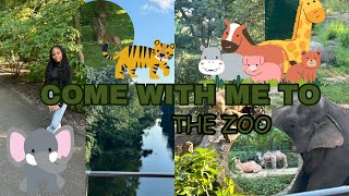 Come with me to the zoo 🦁🐘🐯🍃  deerselephantslionstigers etc… [upl. by Aihsema]