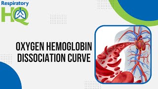 Oxygen Hemoglobin Dissociation Curve [upl. by Airotcivairam258]