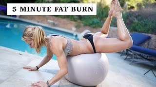 5 Minute Fat Burning Bikini Workout 92 [upl. by Marguerita108]