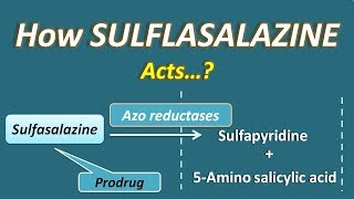 Diseasemodifying antirheumatic drugs DMARDs Part 1  Pharmacology [upl. by Irwin69]