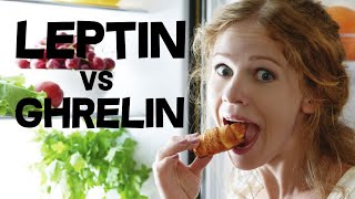 Leptin and Ghrelin  Hunger Hormones [upl. by Aehsila629]