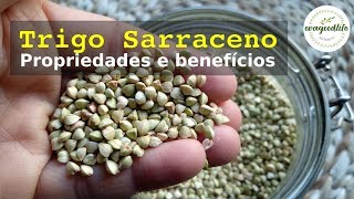 TRIGO SARRACENO Propriedades e beneficios evagoodlife [upl. by Esaertal]