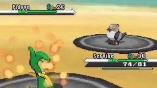 Play Pokemon Black Part 9 To The Northern Road [upl. by Bonis]