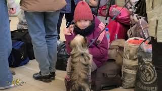 Przemysl Glowny Busy train station with Ukrainian refugees and volunteers 3302022 [upl. by Halehs]