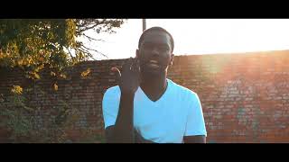 Tripp Dolla Doin Too Much Official Video [upl. by Janelle]