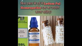 ledum pal homeopathic medicine use in hindi  ledum pal  ledum palustre  ledum pal कैसा दर्द मे दे [upl. by Finella]