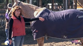 Blanketing the Horse Safely with Tammi Gainer [upl. by Clayberg]