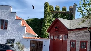 Sweden Walks Visby Semi guided tour along the medieval defensive wall of World heritage town [upl. by Deane]