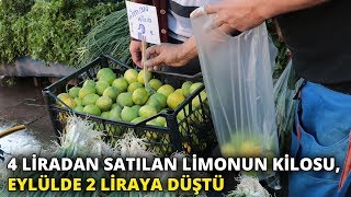 Limonda fiyat düşüşü yüzleri güldürdü 4 liradan 2 liraya düştü [upl. by Atiek657]