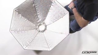 How to setup an Elinchrom Rotalux Softbox [upl. by Kassi]