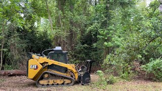 Forestry Mulching amp Land Clearing Service South East Louisiana [upl. by Fanestil815]