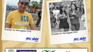 Fiestas Pedregoso 2012 [upl. by Jeuz]