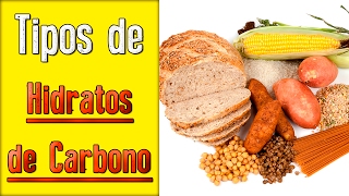 Tipos de Carbohidratos [upl. by Galanti]