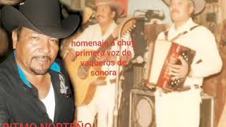 el idolo de oro vaqueros de sonora y ritmo norteño [upl. by Tema]