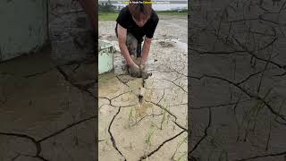 If you see a hole in dry land dig a pit there immediately shortvideo [upl. by Kaete]