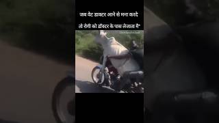 इमरजेंसी होगी कभी तो agriculture memes veterinary [upl. by Aihsotan707]