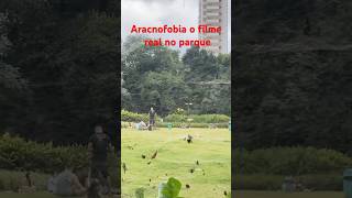 Aracnofobia o filme real no parque 🕷️🕸️ [upl. by Anowahs]