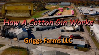 How A Cotton Gin Works [upl. by Prisilla]