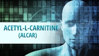 AcetylLCarnitine ALCAR [upl. by Gignac]