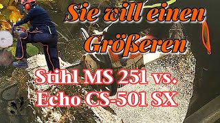 Motorsägenvergleich  Stihl MS 251  Echo CS501 SX  Die Sägen fürs Bäume fällen [upl. by Eadahc]