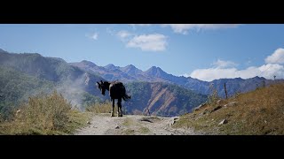 Day 4 of 4 Solo Hiking the Ancient Svaneti region Georgia Towers and Landscapes oh my [upl. by Notnerb]