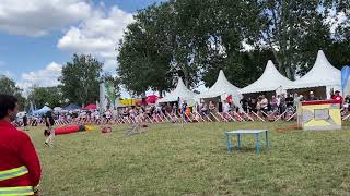 Rettungshunde Vorführung beim Donauinselfest 2024 [upl. by Ddet760]