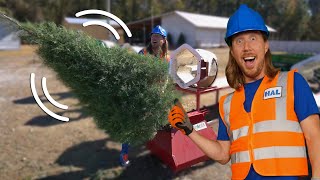 Explore a Christmas Tree Farm with Handyman Hal  Pick the perfect Christmas Tree  On the Farm [upl. by Huntington544]