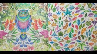 FULLY COMPLETED Johanna Basford Secret Garden  a flip through [upl. by Deena]