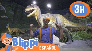 Blippi aprende sobre dinosaurios  Blippi Español  Videos educativos para niños  Aprende y Juega [upl. by Weig]