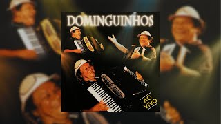 Dominguinhos  quotDominguinhos ao Vivoquot 2006 Álbum Completo [upl. by Mullins]