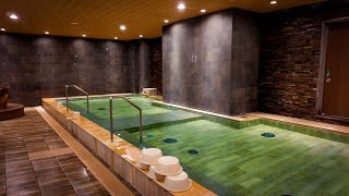 Luxurious HOT SPRING Hotel in Center of OSAKA Japan ♨️  Unlimited Free Drinks amp Food Hinode Hotel [upl. by Eserrehs]